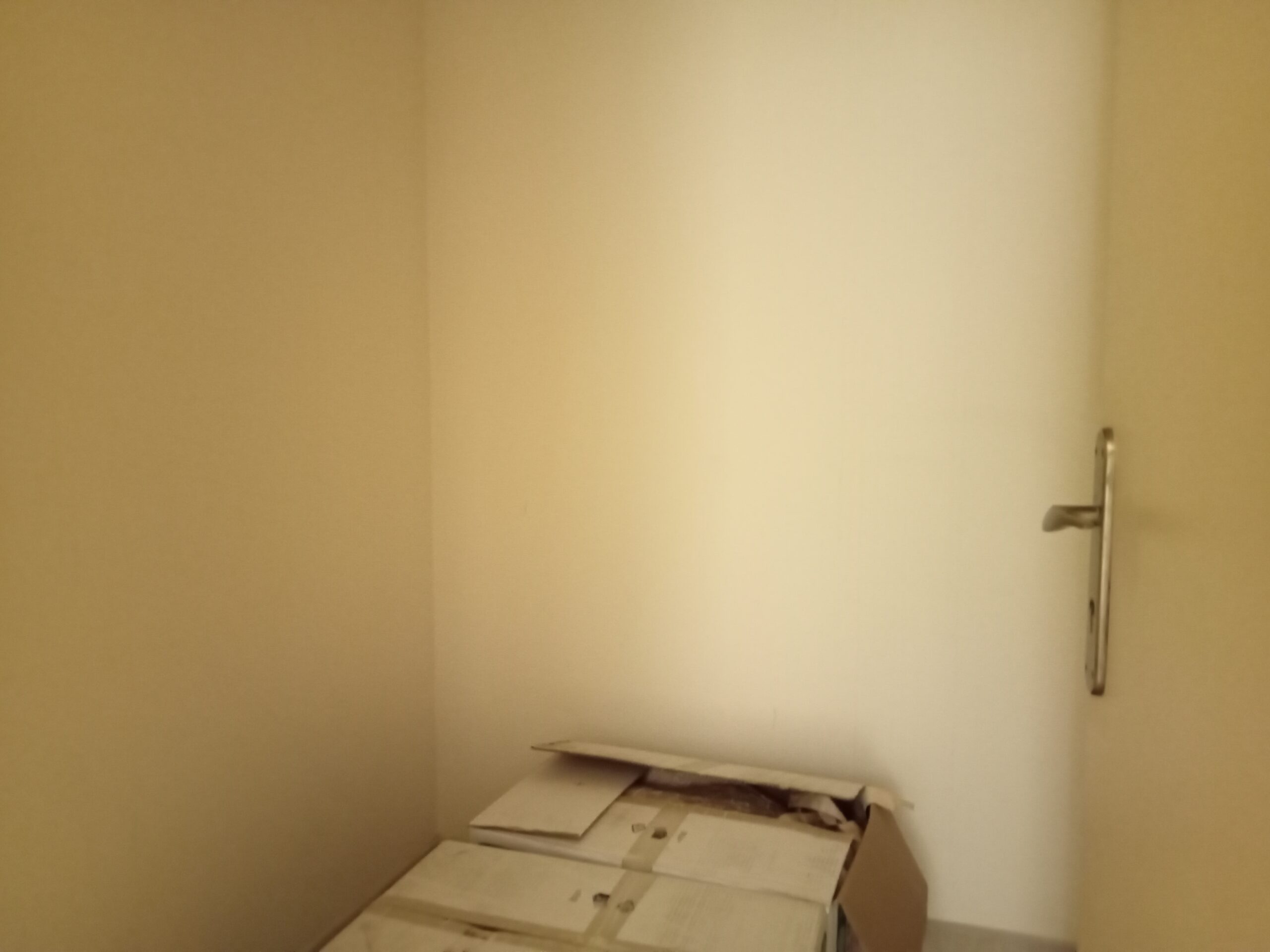 oplus_0